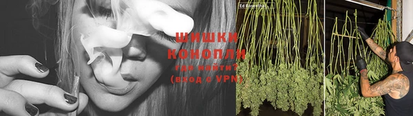 гашик Балахна