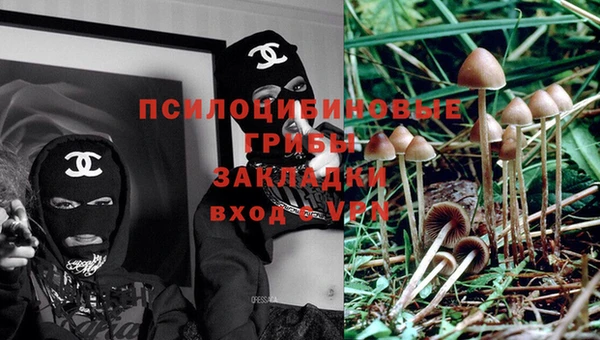амф Переславль-Залесский