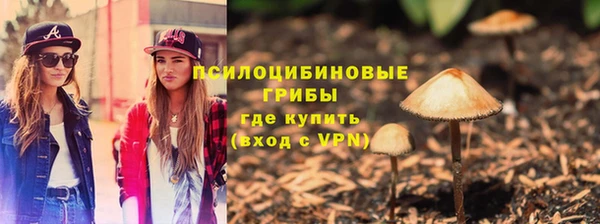 таблы Билибино