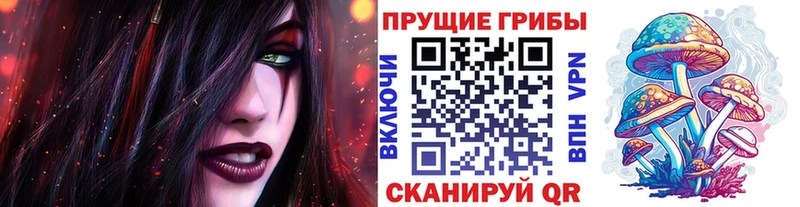закладки  Белозерск  мориарти клад  Псилоцибиновые грибы ЛСД 